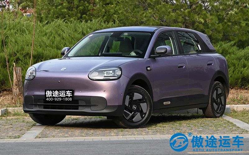 奇瑞新能源QQ3EV-3.png
