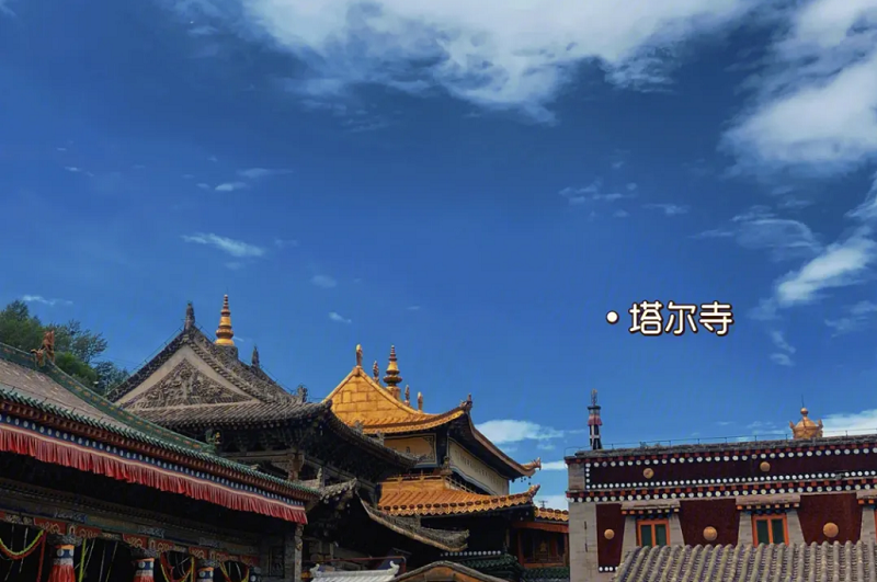 20230818160549179.png 西宁.png